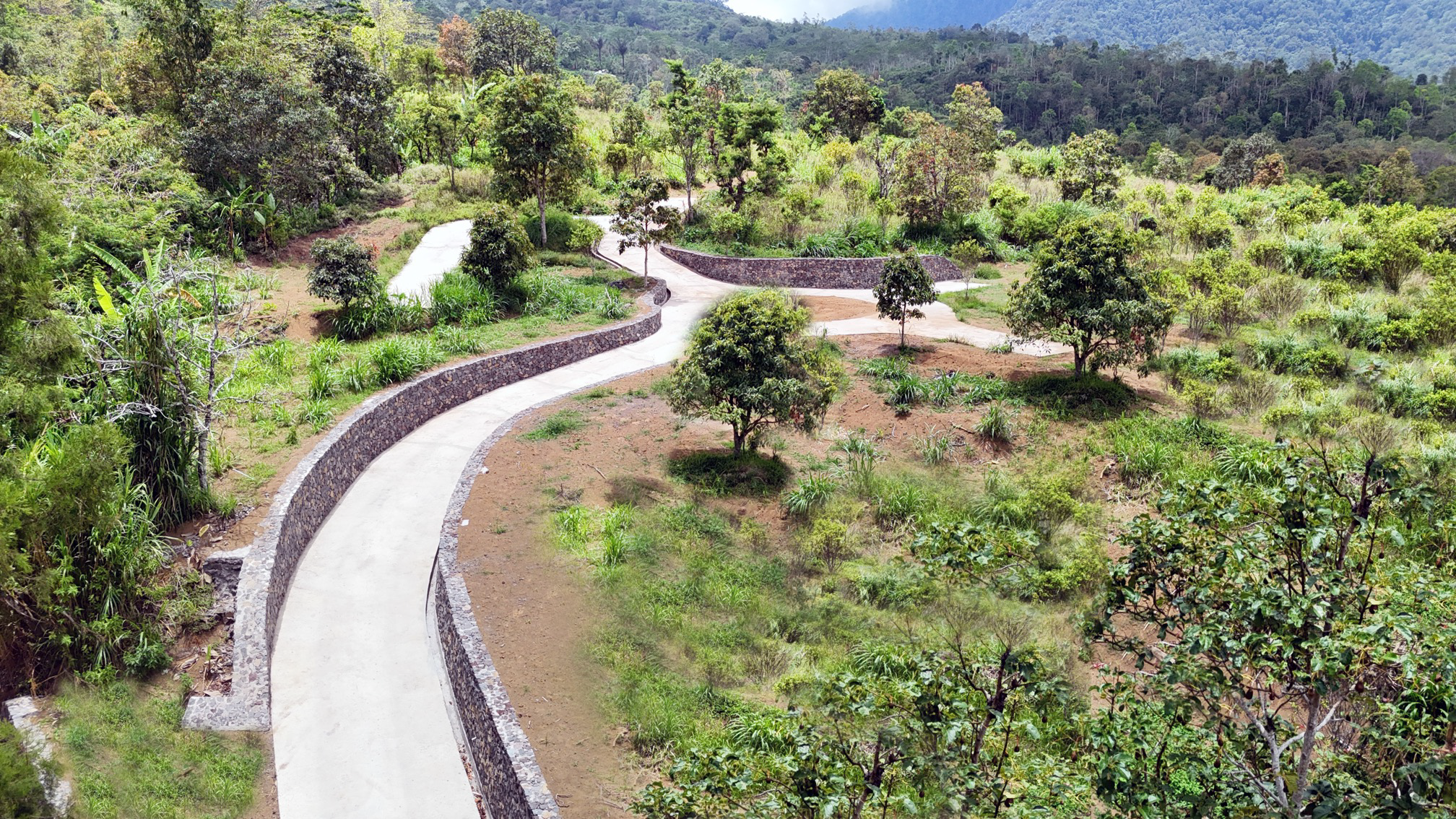 road-to-plot